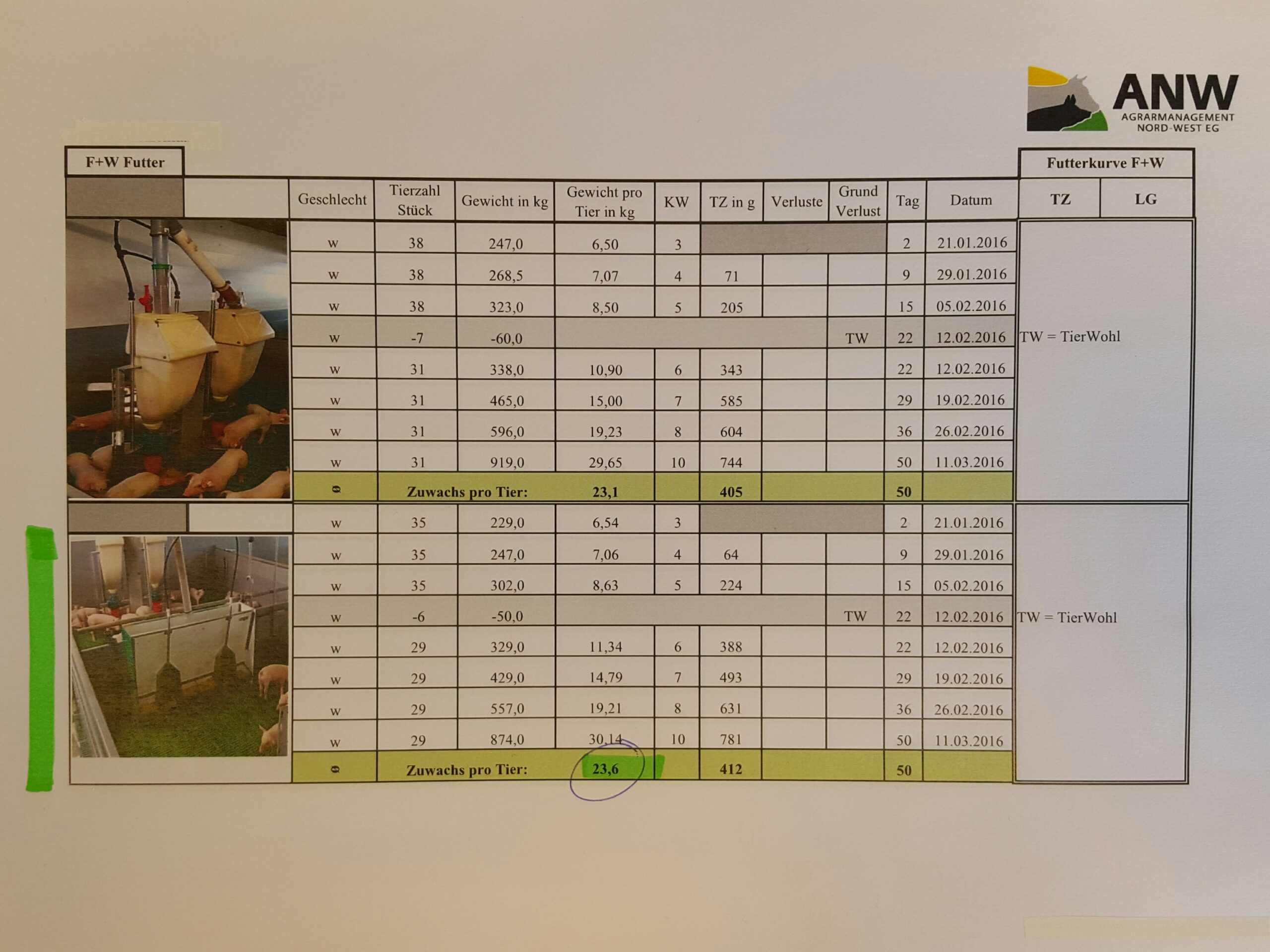 Resultados de las pruebas de los lechones Drowaco