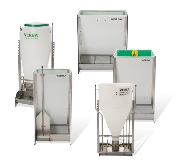 Dispensadores automáticos de pienso para cerdos