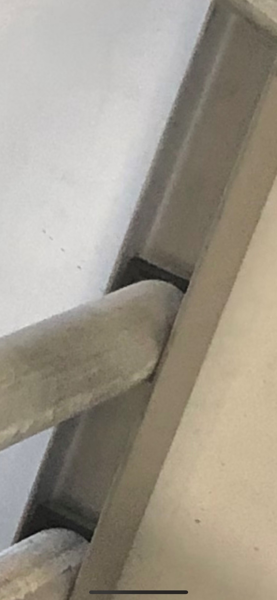 Tornillo de fijación para granja porcina Montaje de los soportes de la valla